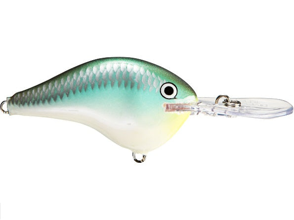 Rapala DT Series 6' 3/8 2" Blue Back Herring