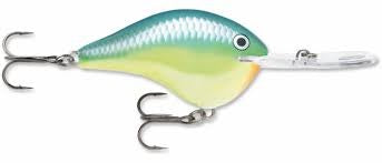 Rapala DT 20' Series Caribbean Shad