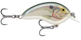 Rapala Ott Garage Tiny 4' 5/16 2.25" Big Shad